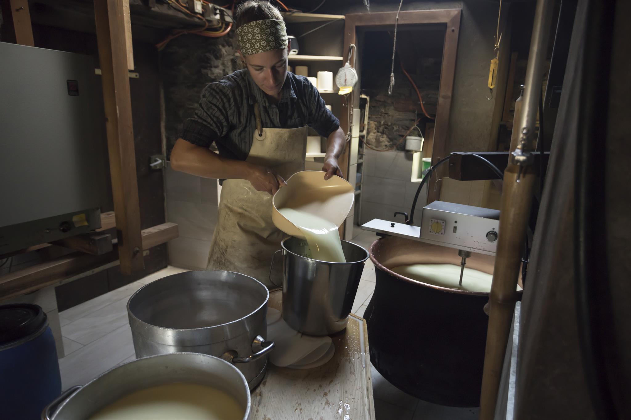 Schaukäsen auf der Alpe Hannig