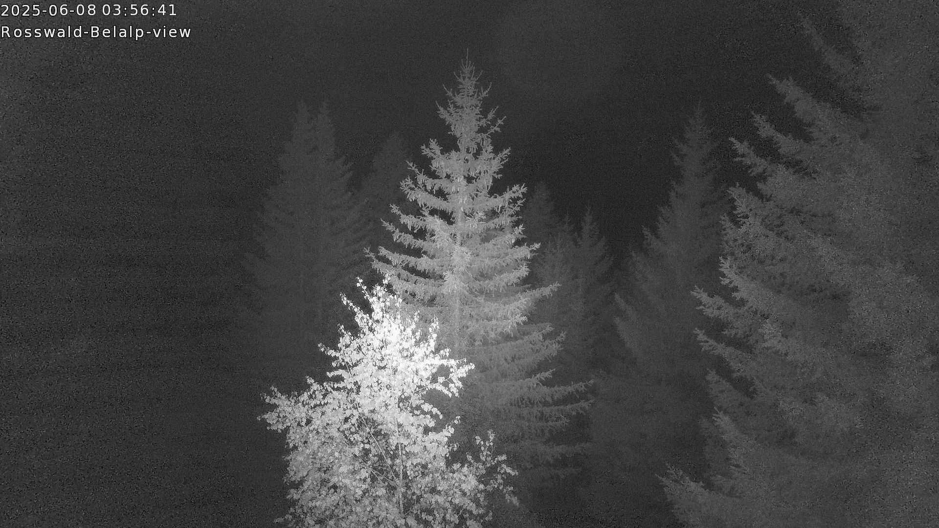 3h ago - 04:01