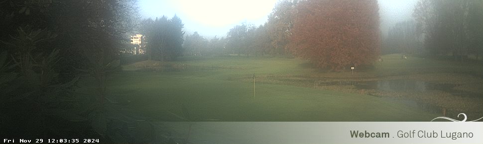 29.11.2024 12:04