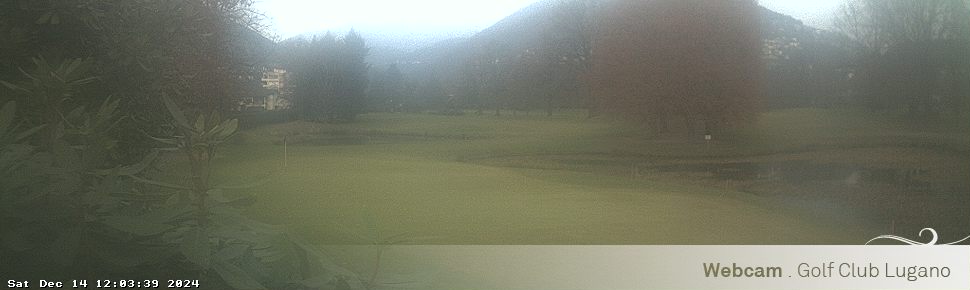 14.12.2024 12:04