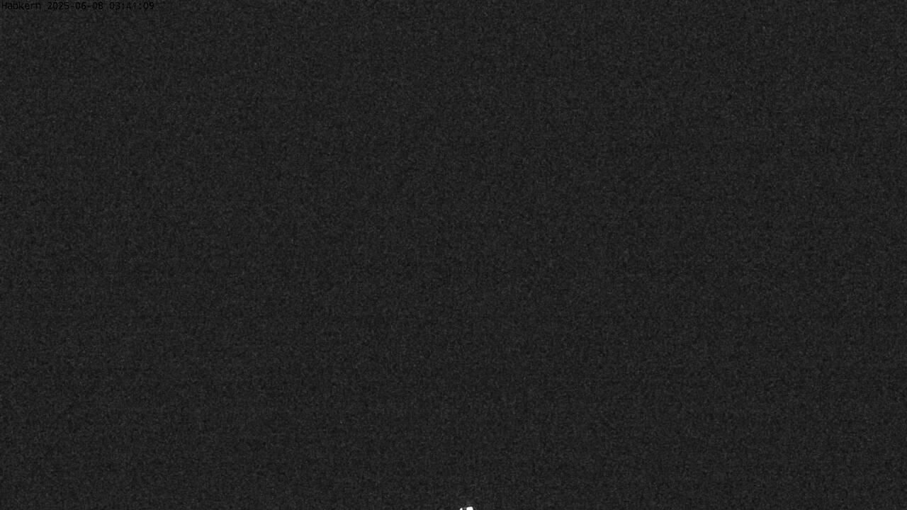 25h ago - 03:31