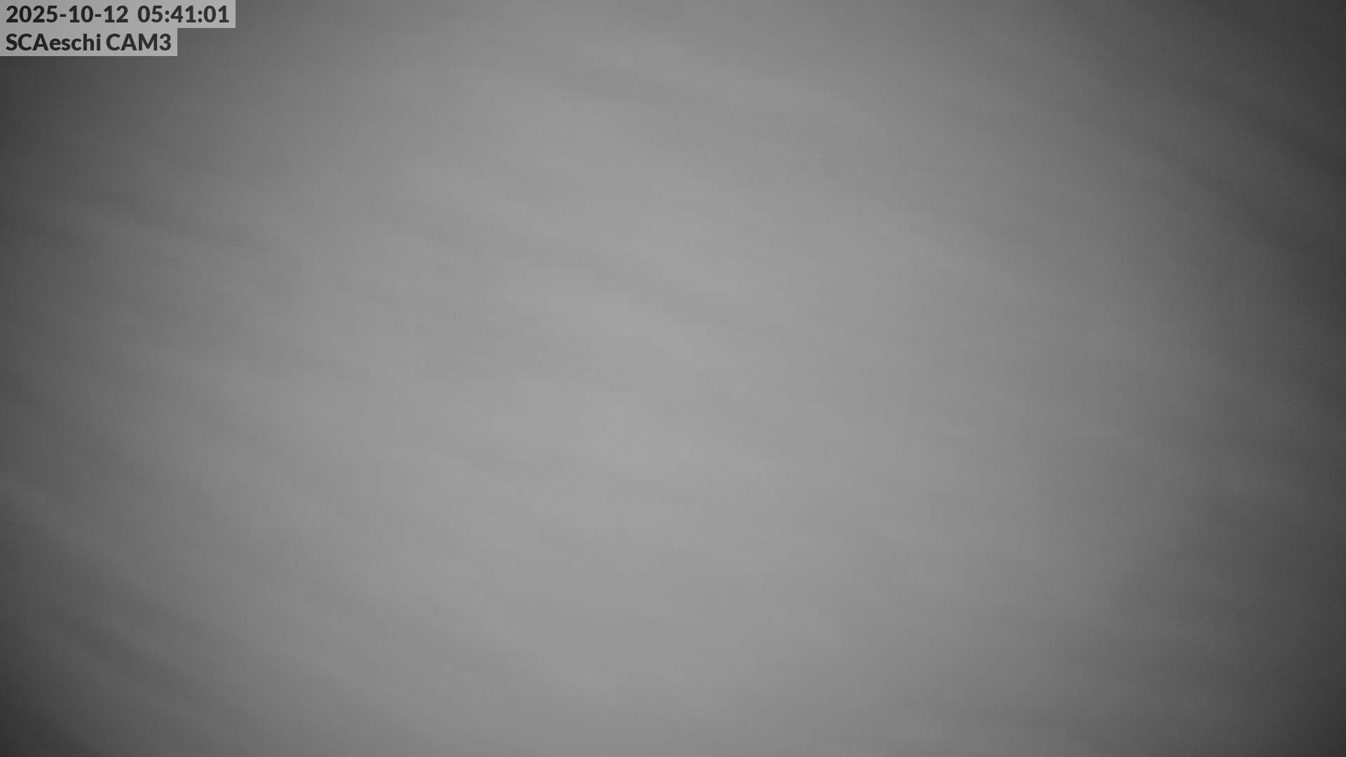35h ago - 05:41