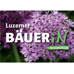 Luzerner Bäuerin