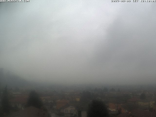 09.02.2025 12:11