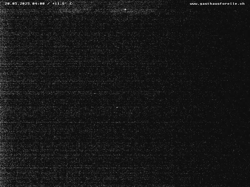 41h ago - 04:00