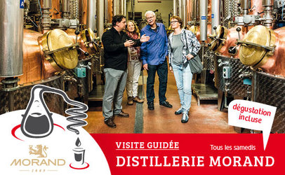 Visite guidée de la Distillerie Morand - 1