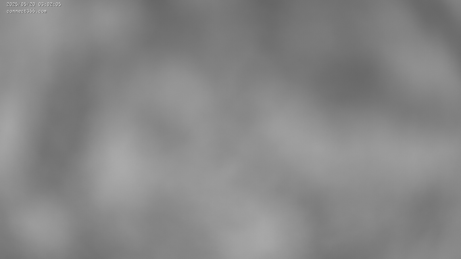 42h ago - 03:02