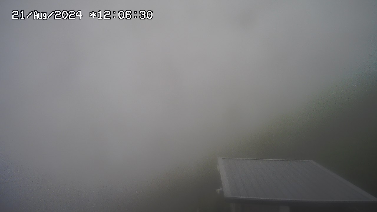 21.08.2024 12:01