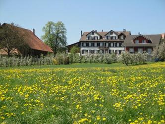 Wellnessfarm