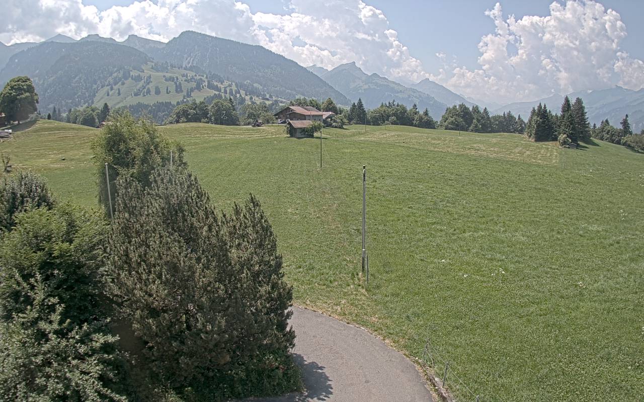 21.06.2025 12:25