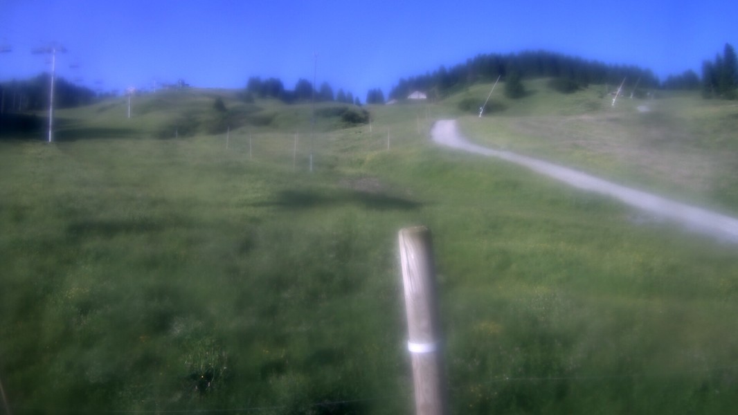 23h ago - 08:01