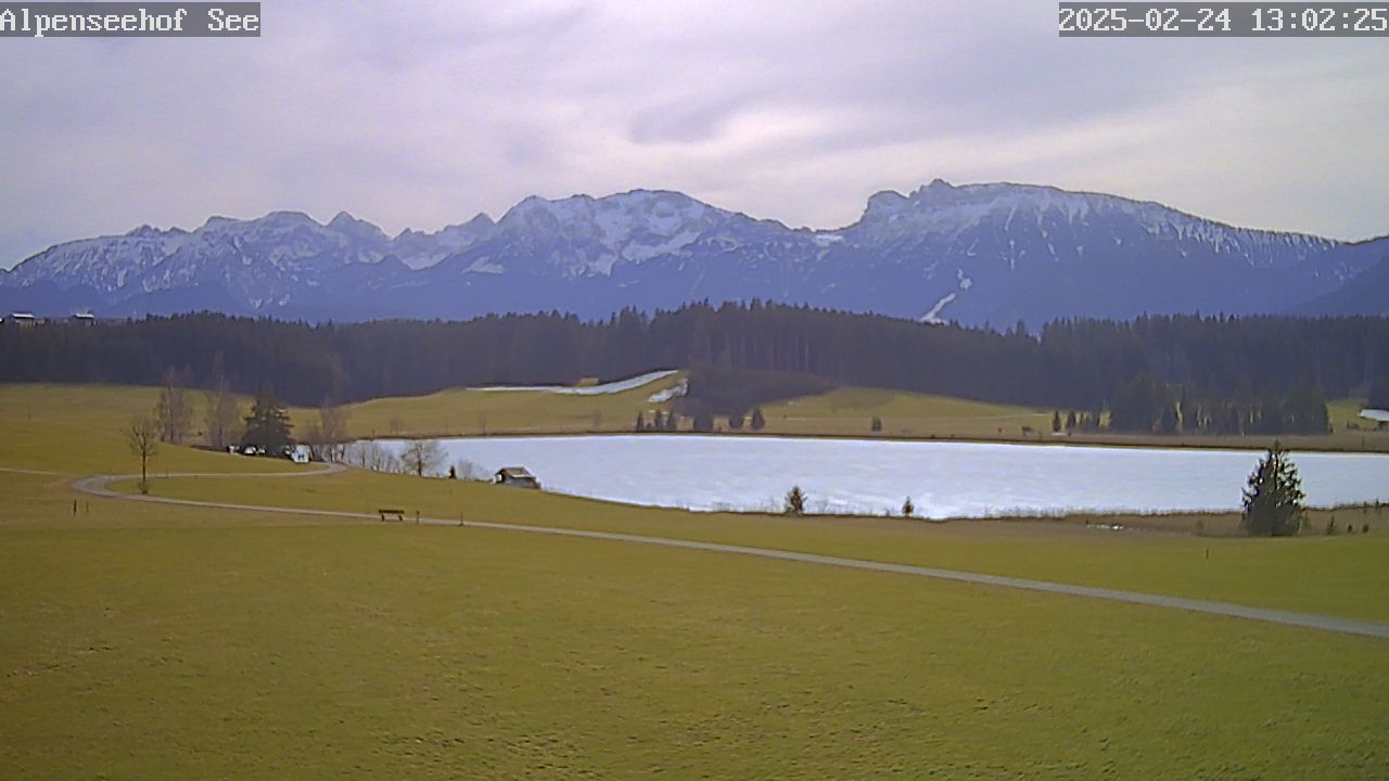 24.02.2025 12:02