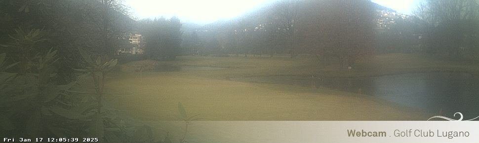 17.01.2025 12:05