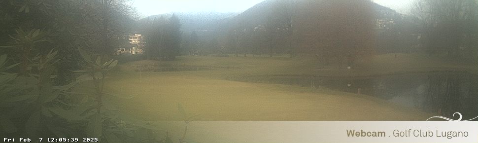 07.02.2025 12:05