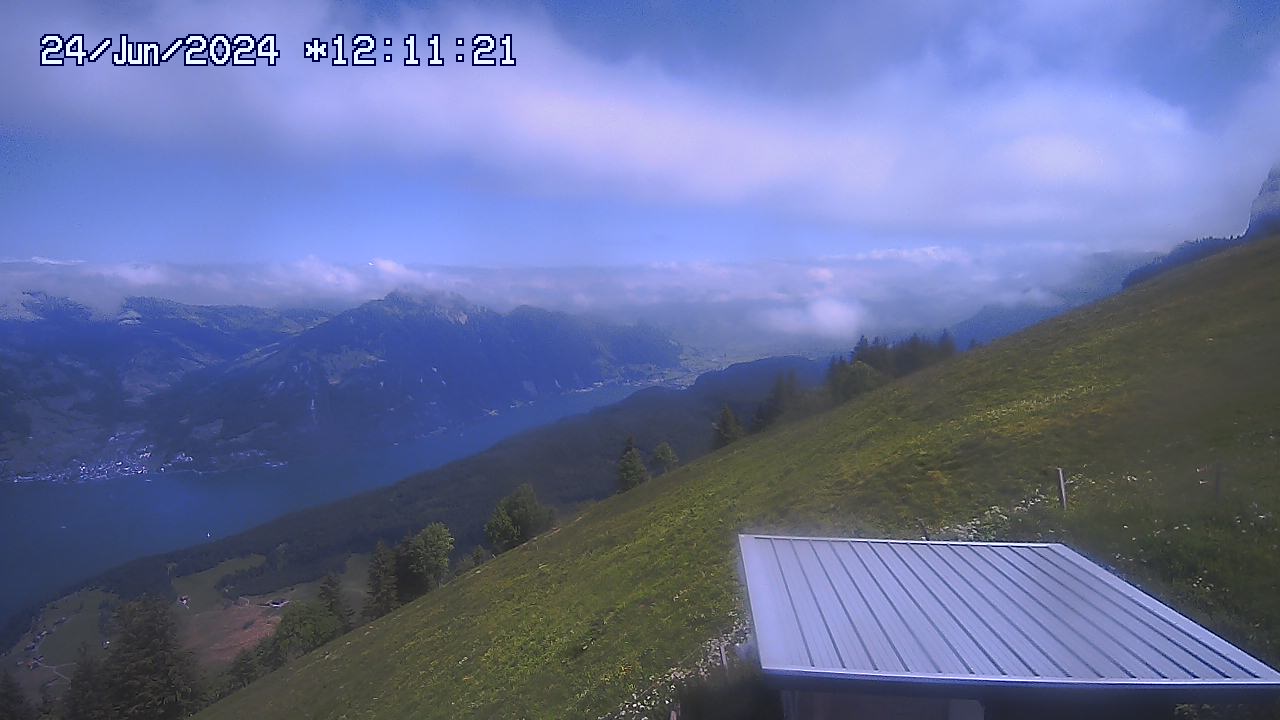 24.06.2024 12:01