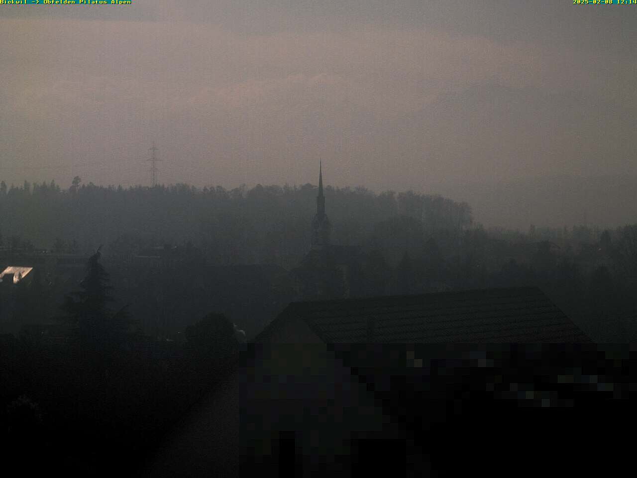 08.02.2025 12:14