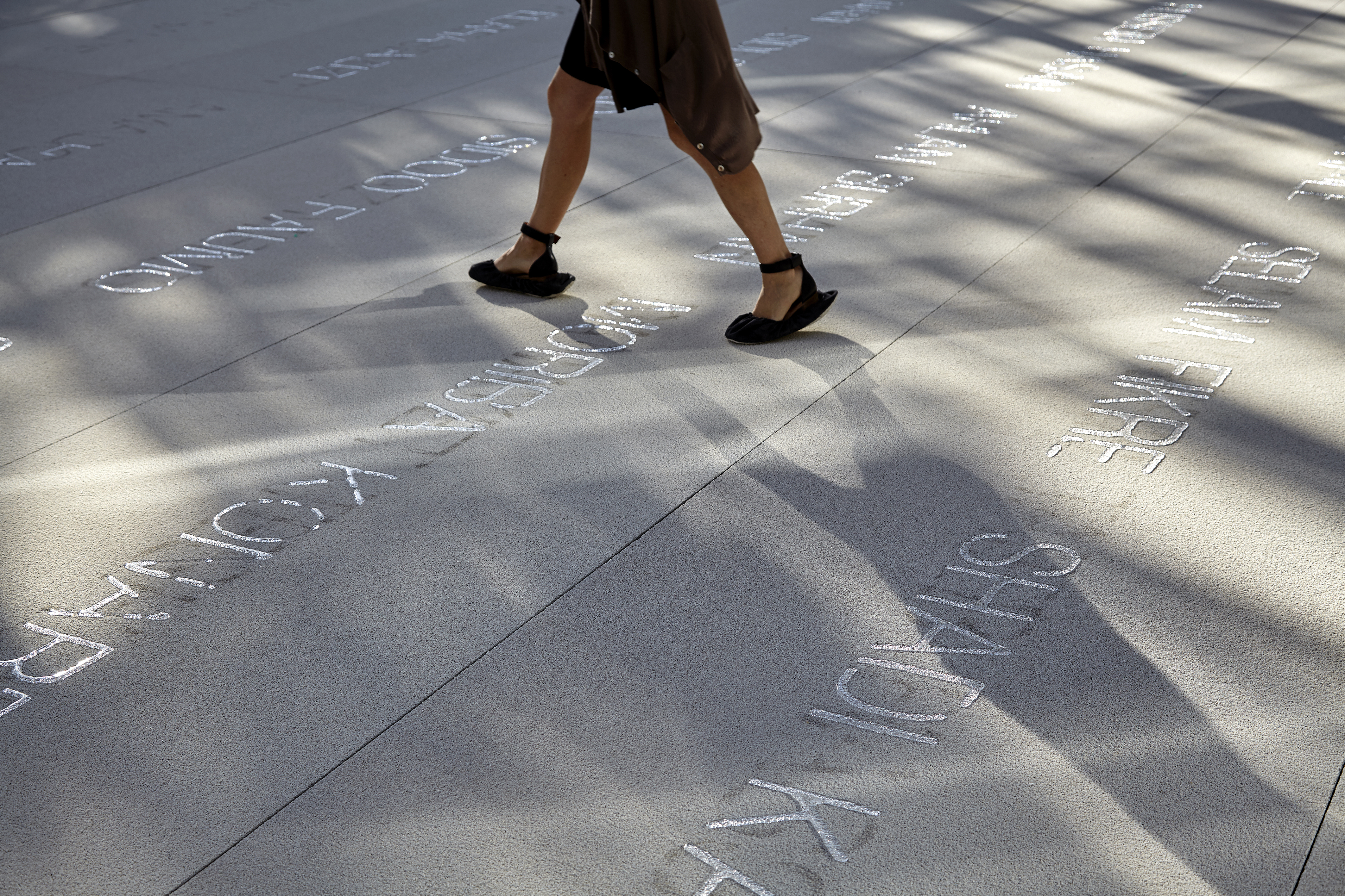 Doris Salcedo: Palimpsest
