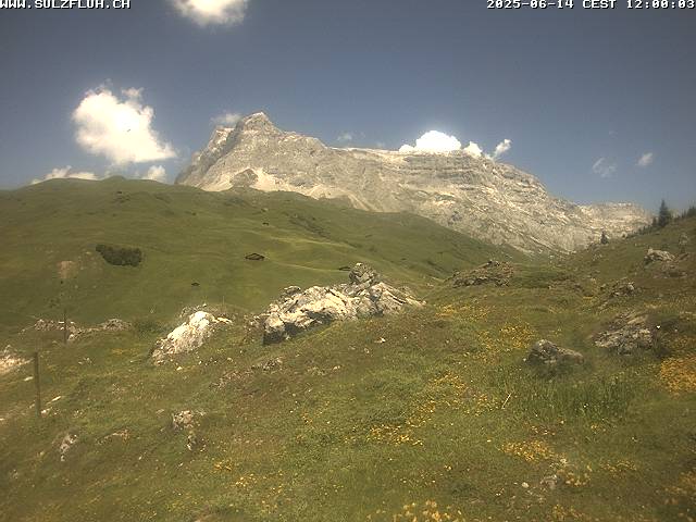14.06.2025 12:00