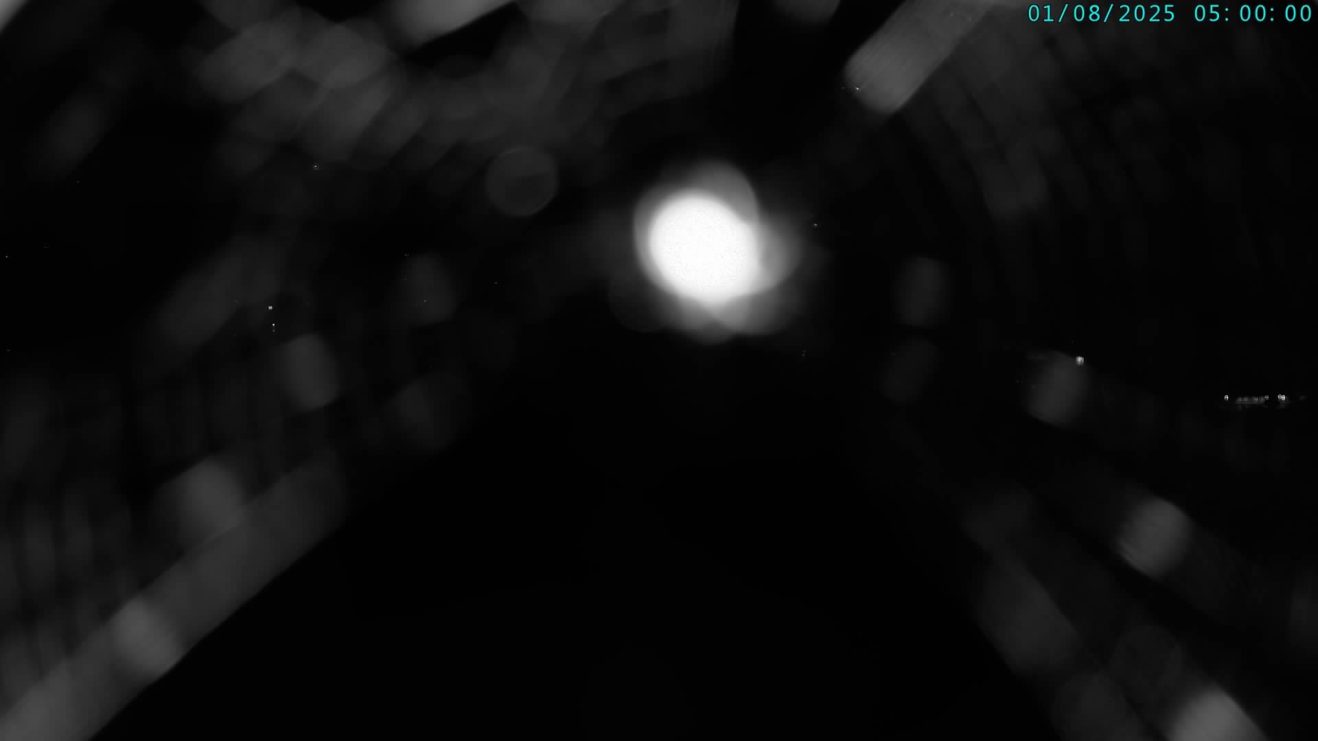42h ago - 05:00
