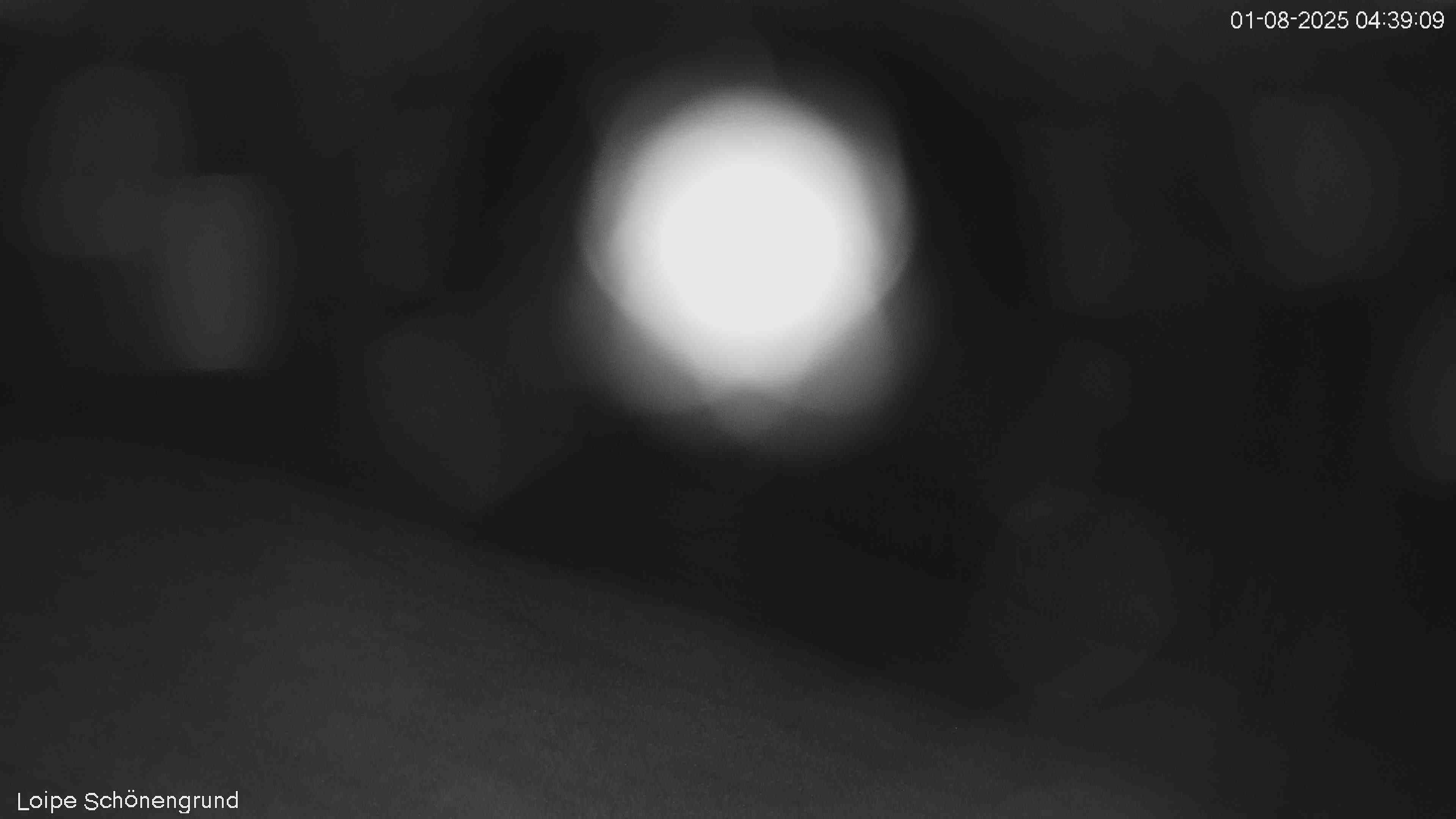 42h ago - 04:39