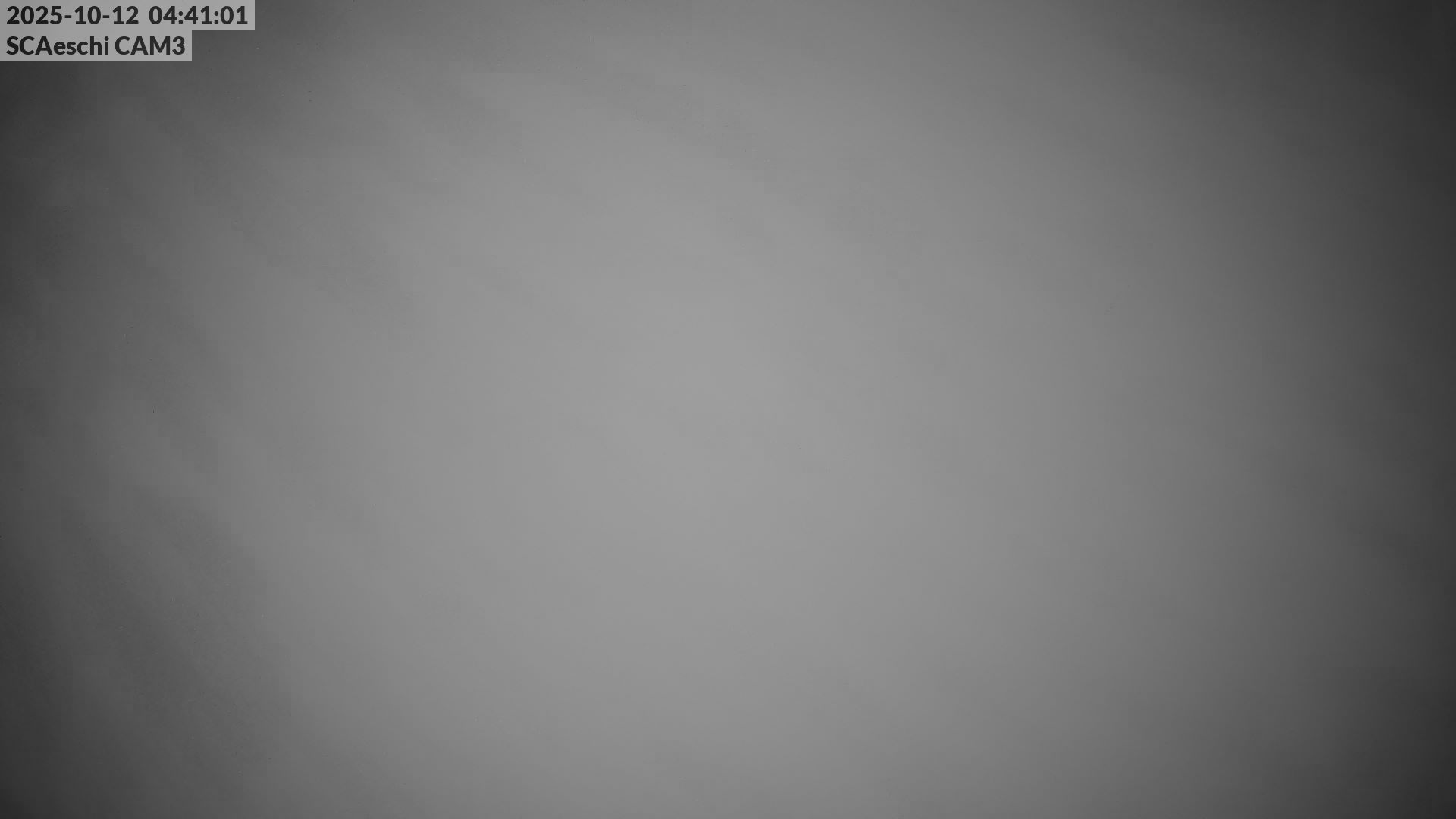 36h ago - 04:41