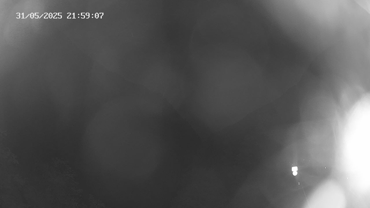 19h ago - 22:50