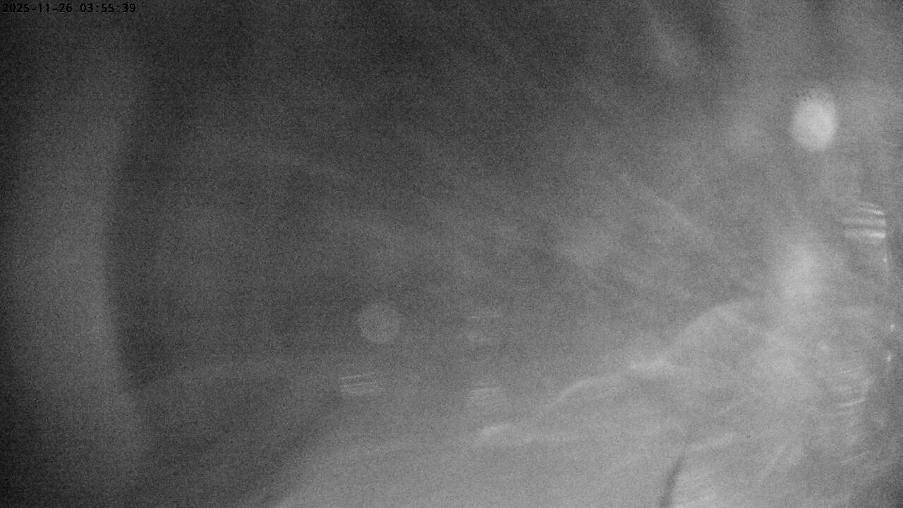 Rovaniemi: Lordin Aukio