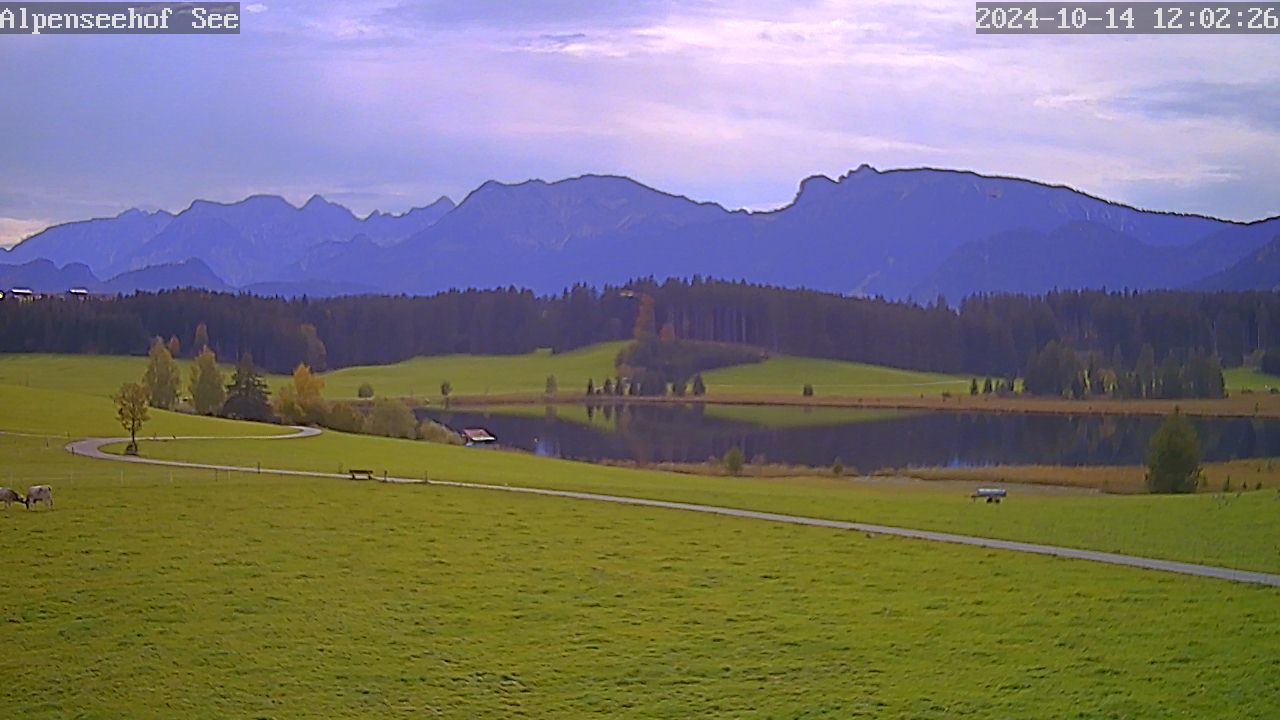 14.10.2024 12:02
