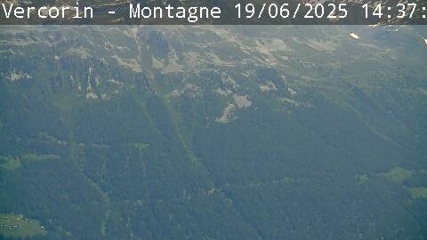 40h ago - 14:41