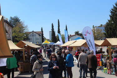 Frühlingsmarkt – Setzlinge, Kreativmarkt, Kinderprogramm - 1