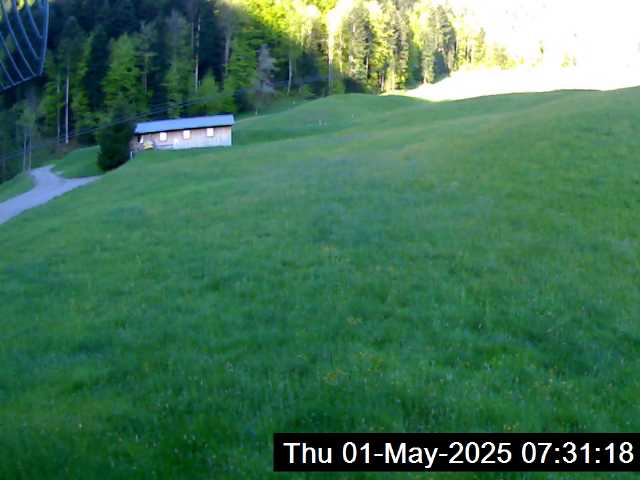 3h ago - 07:31