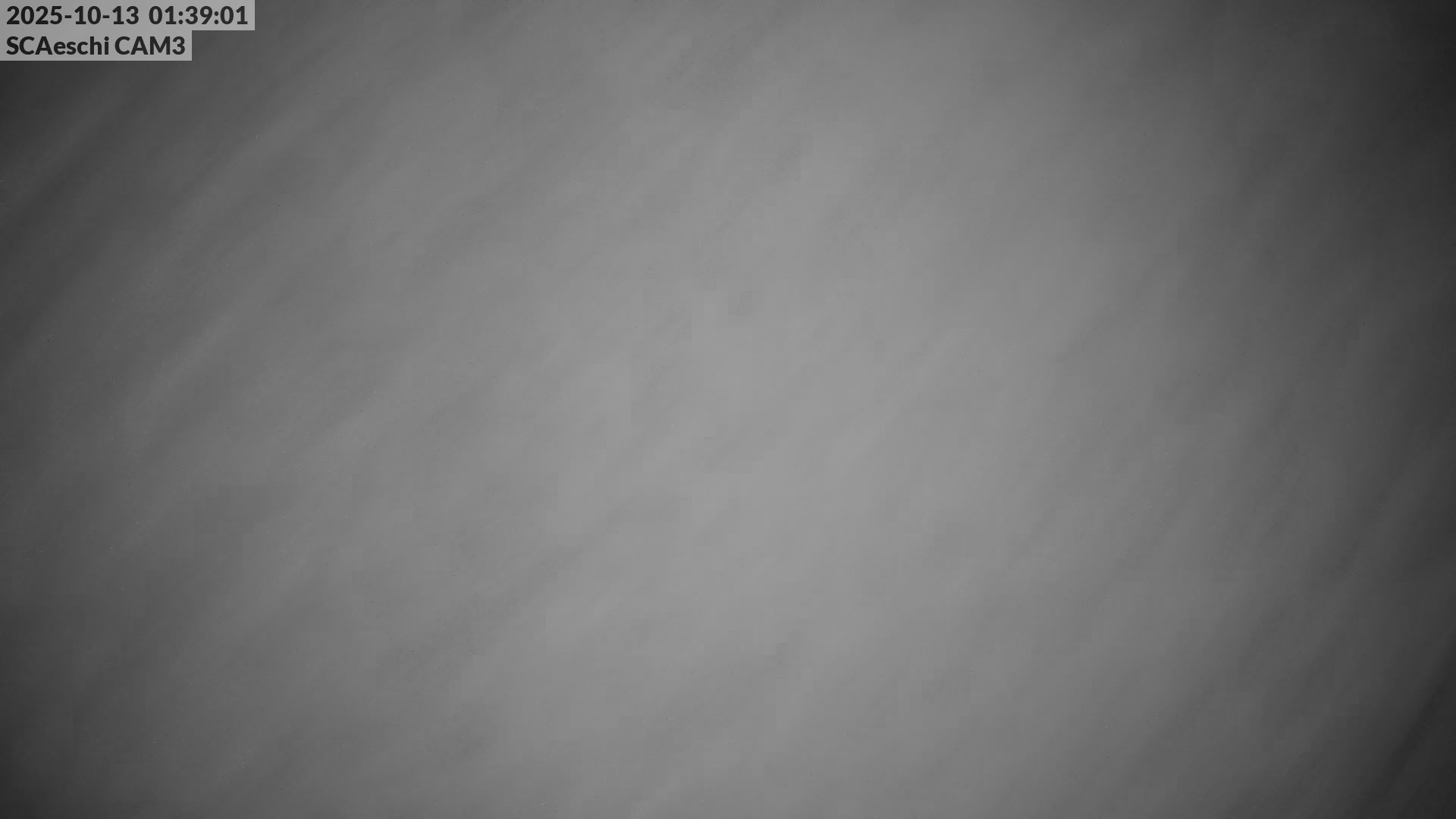 15h ago - 01:39