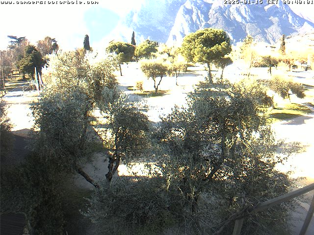 15.01.2025 12:08