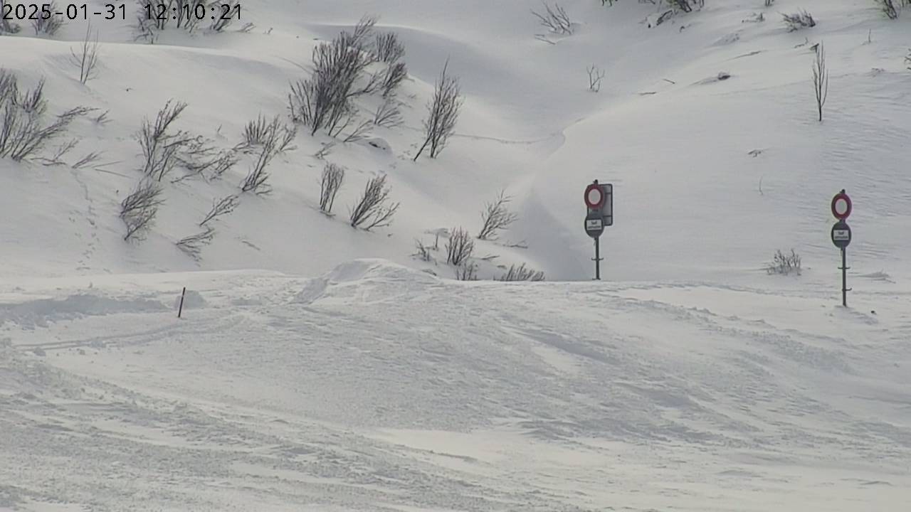 31.01.2025 12:10