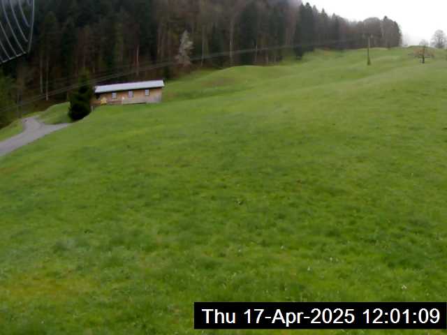 17.04.2025 12:01