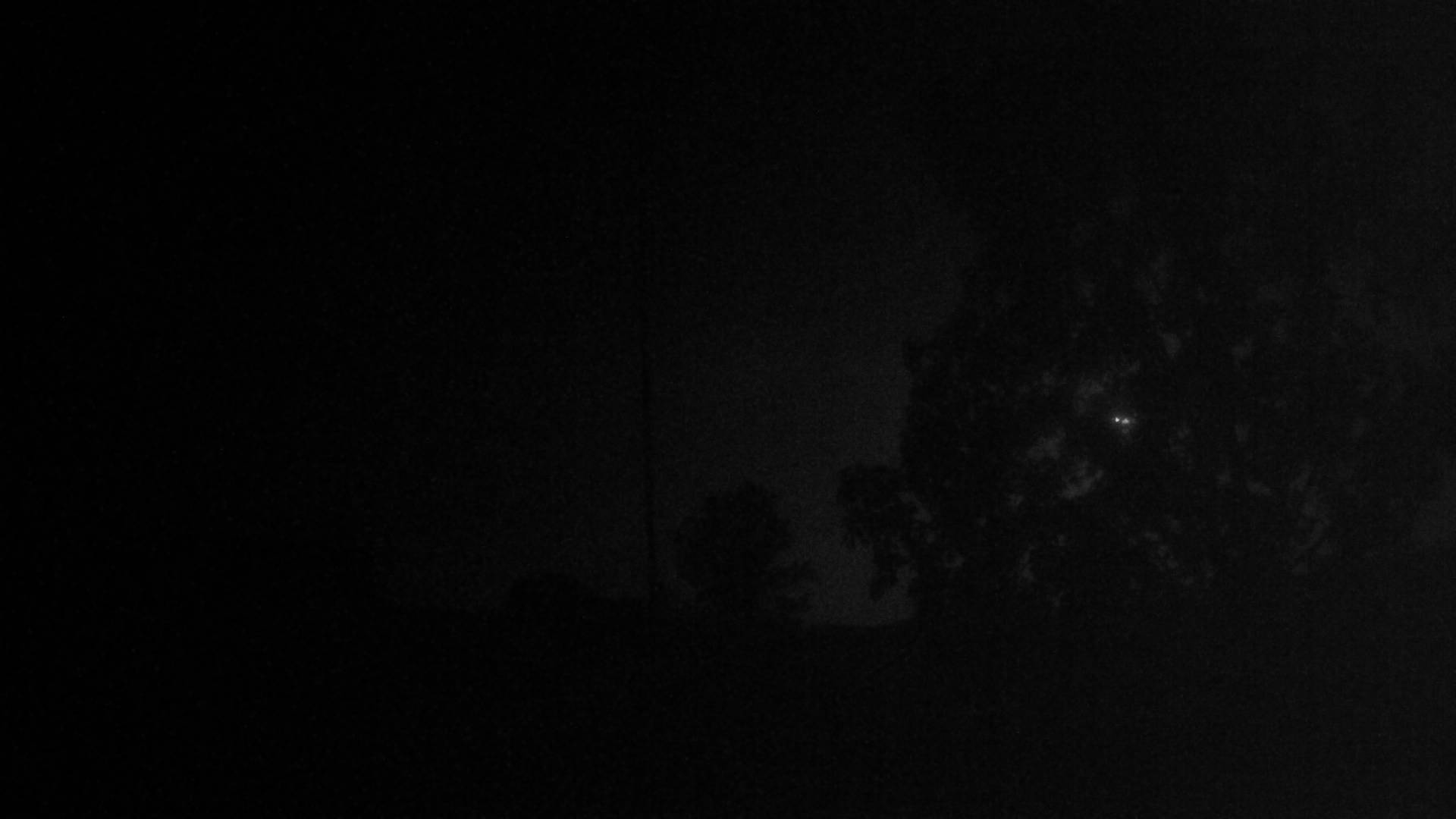 4h ago - 03:00