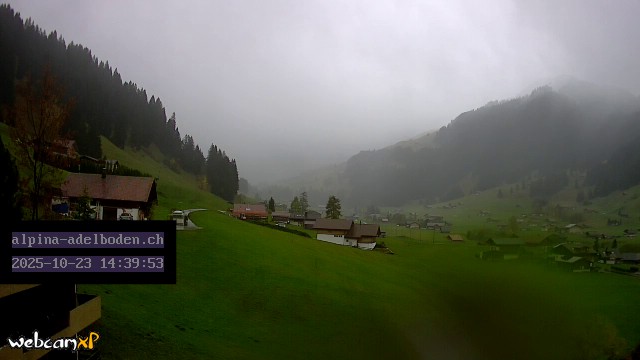 7h ago - 14:39