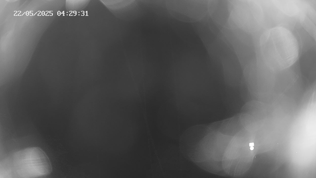 12h ago - 04:30