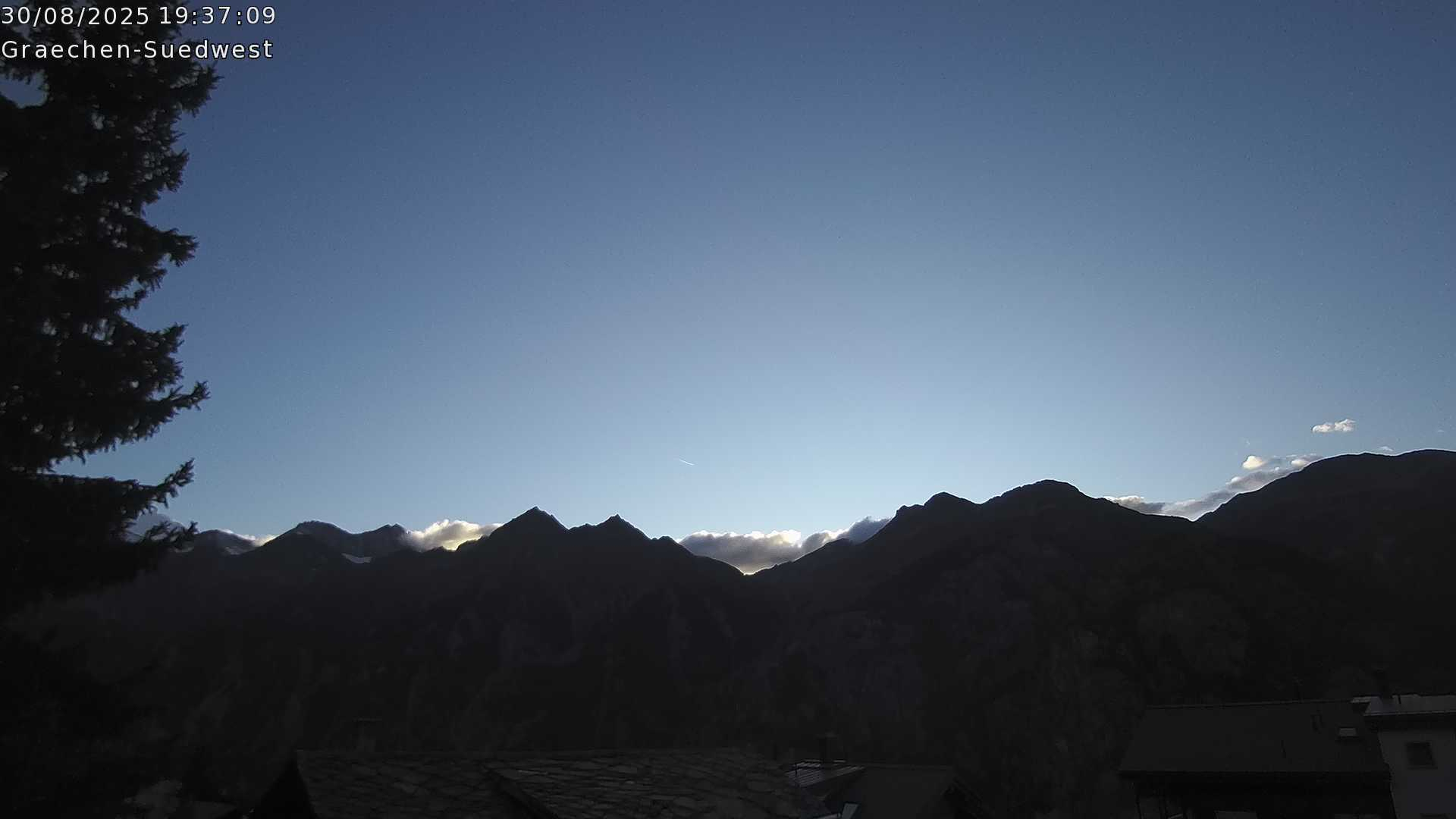 8h ago - 19:31