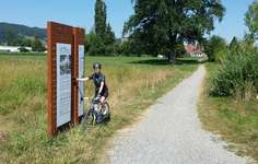 Pfahlbaufundstelle Hitzkirch LU. Foto Museum für Urgeschichte(n).