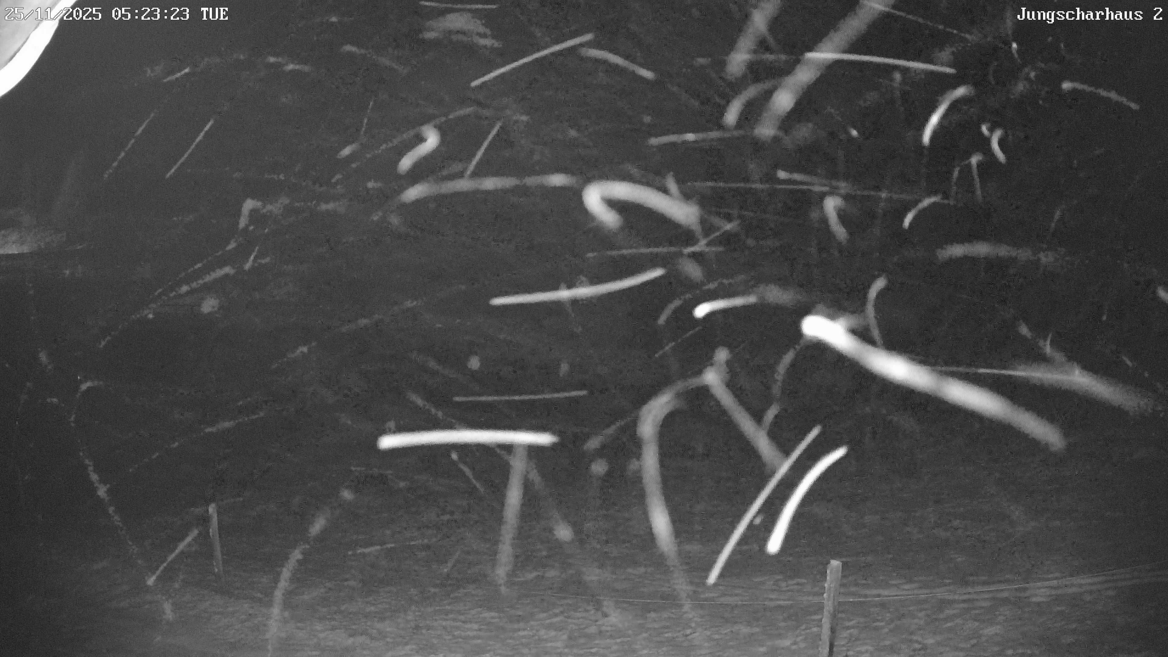 Rovaniemi: Lordin Aukio