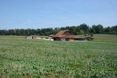Hofladen Teuflibach - 1