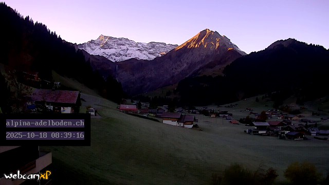 3h ago - 08:39