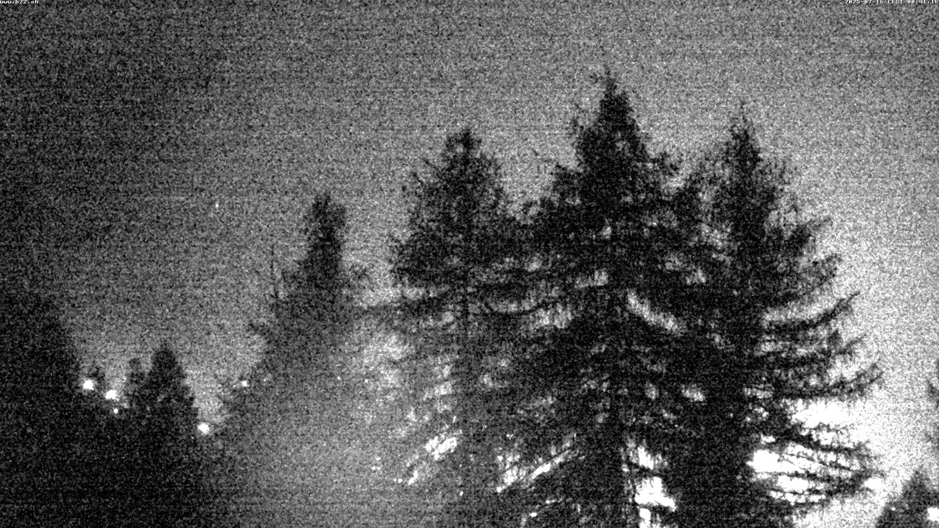 10h ago - 00:40