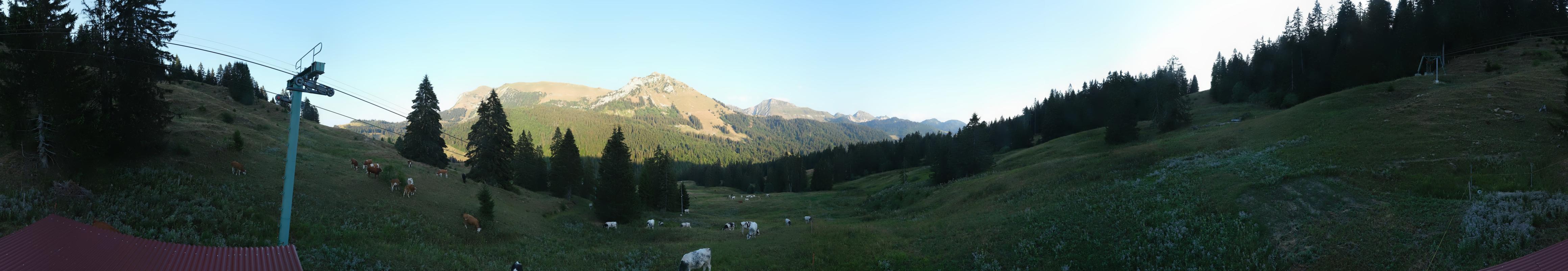 3h ago - 19:54