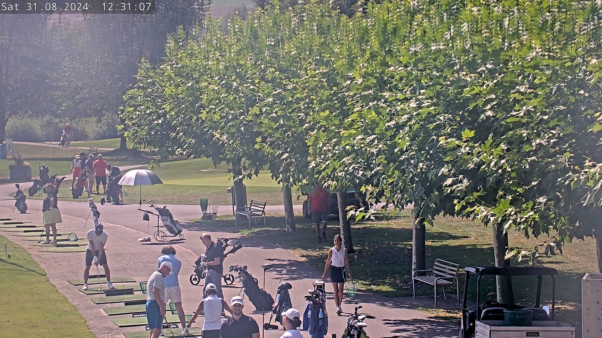 31.08.2024 12:31