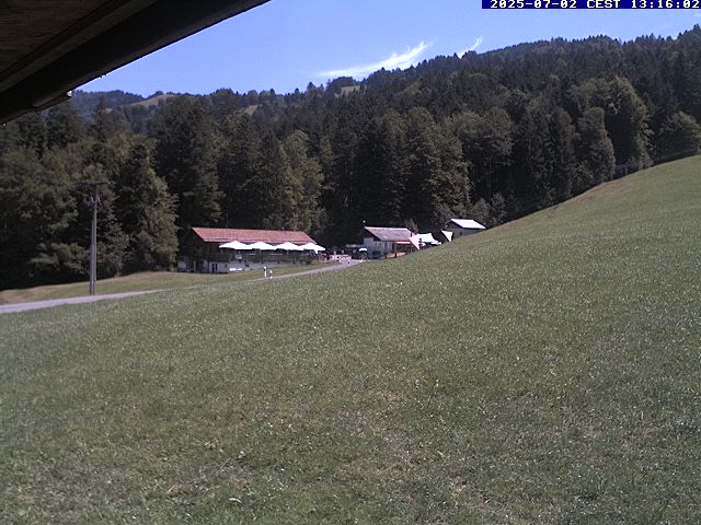 44h ago - 13:16