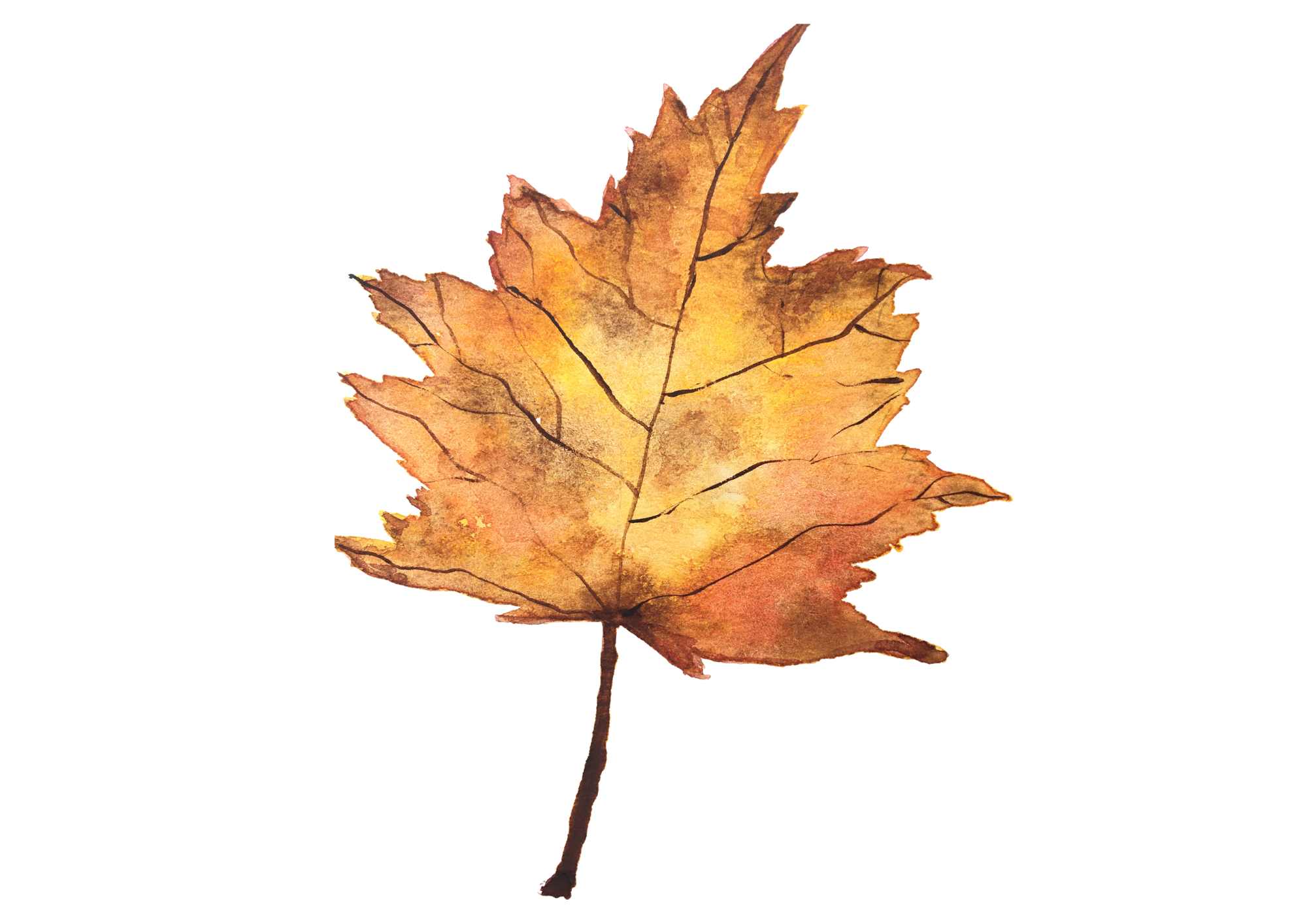 Titelbild des Events: Herbstausflug