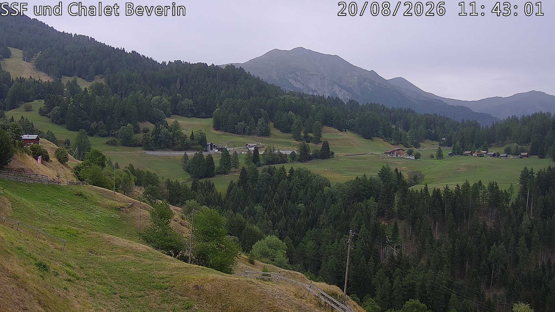 20.08.2026 11:43