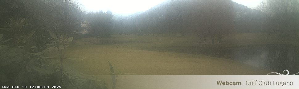 19.02.2025 12:06